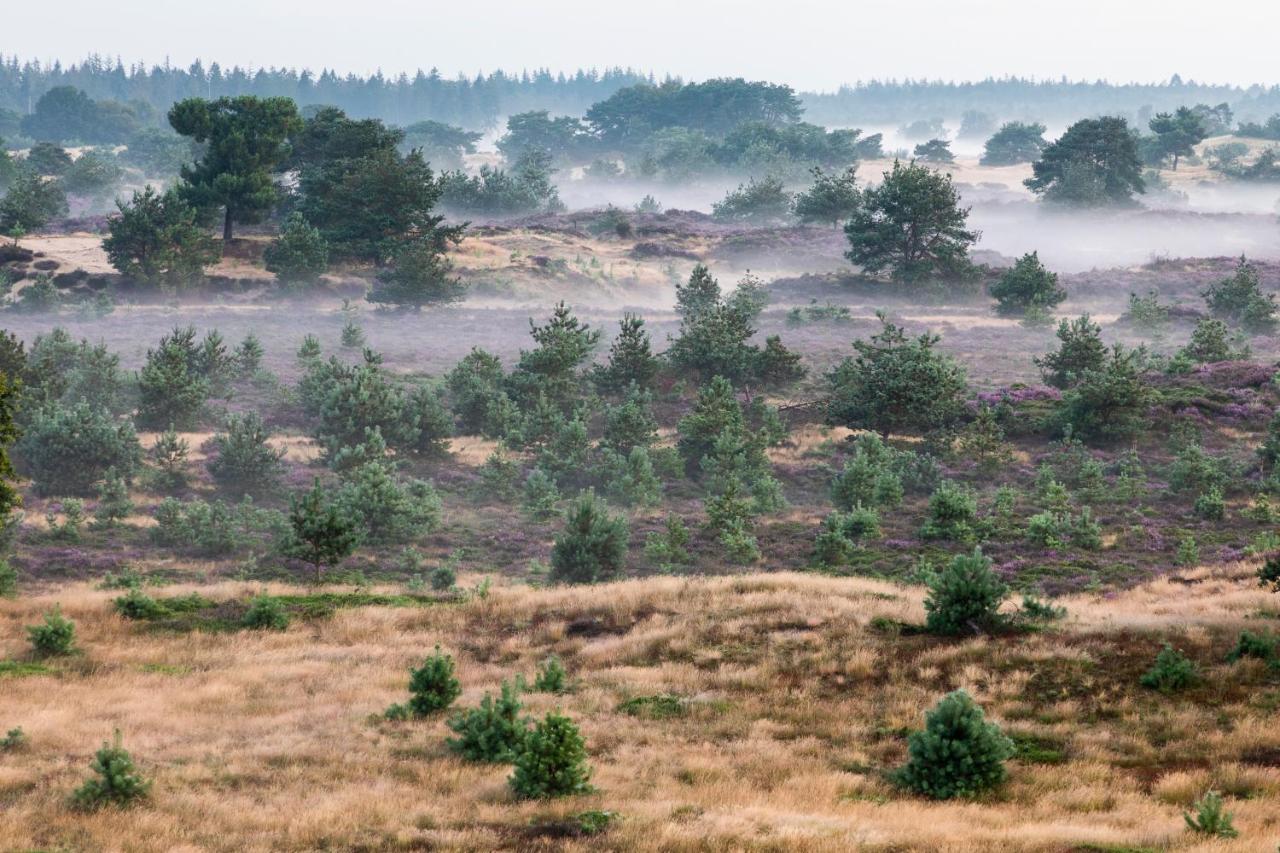 4P Chalet Tolve Met 4 Fietsen Vlakbij Natuurgebieden Drents Friese Wold, Fochteloerveen En Gevangenisdorp Veenhuizen Oosterwolde  Extérieur photo